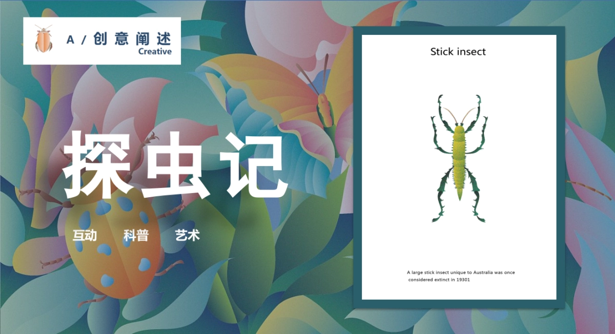 2021商业广场昆虫主题艺术展“探虫记”活动策划方案_第4页