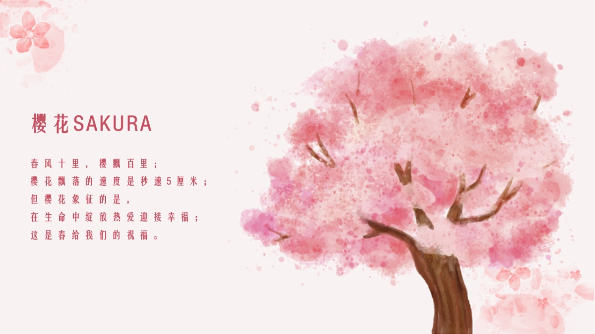 2022四月春季樱花节系列暖场（春日樱乐会主题）活动策划方案_第3页