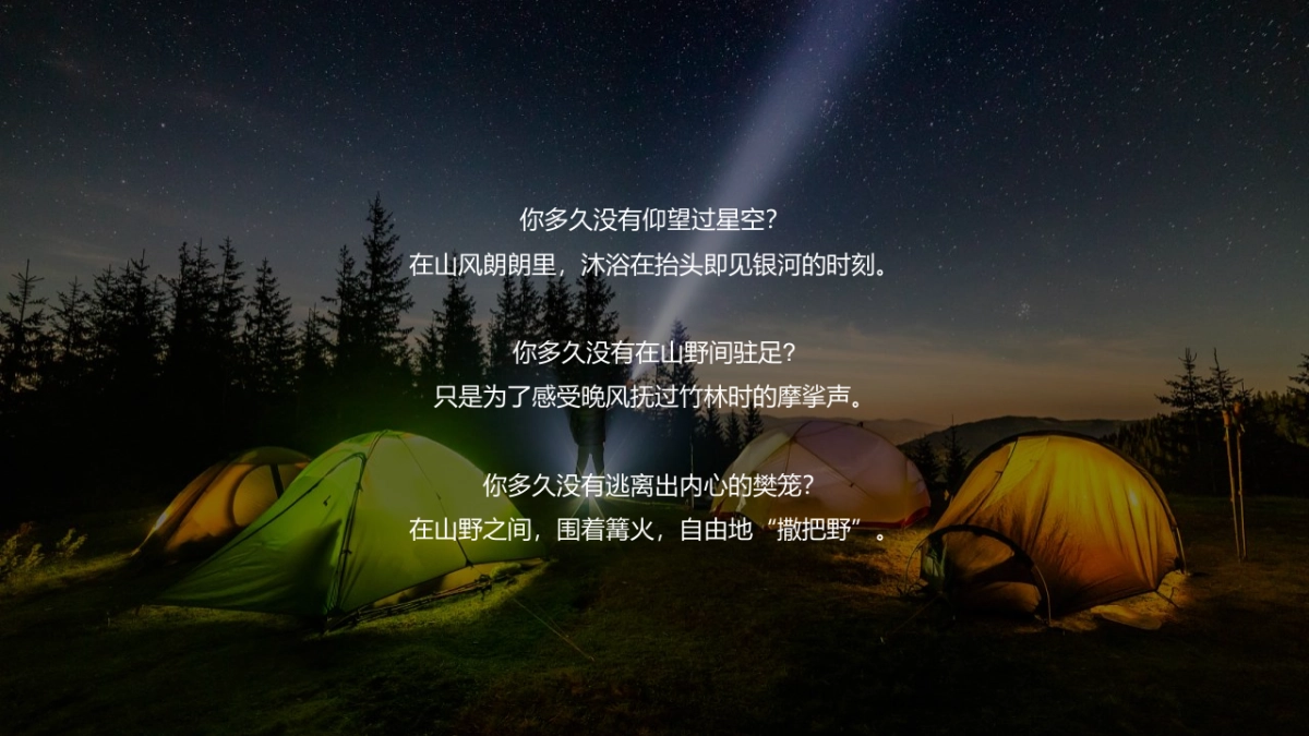 2022星空露营季(仲夏夜的星空晚会主题)活动策划方案-51P_第2页