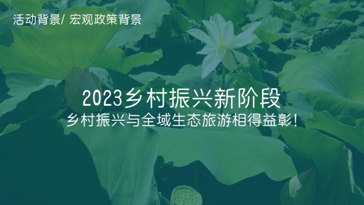 2023中国·肥西第六届荷花文化节暨第八届山南长庄夜游肥西赏荷会策划方案_第4页