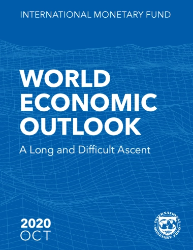 IMF：世界经济展望：漫长而艰难的上升（2020年10月）-203页