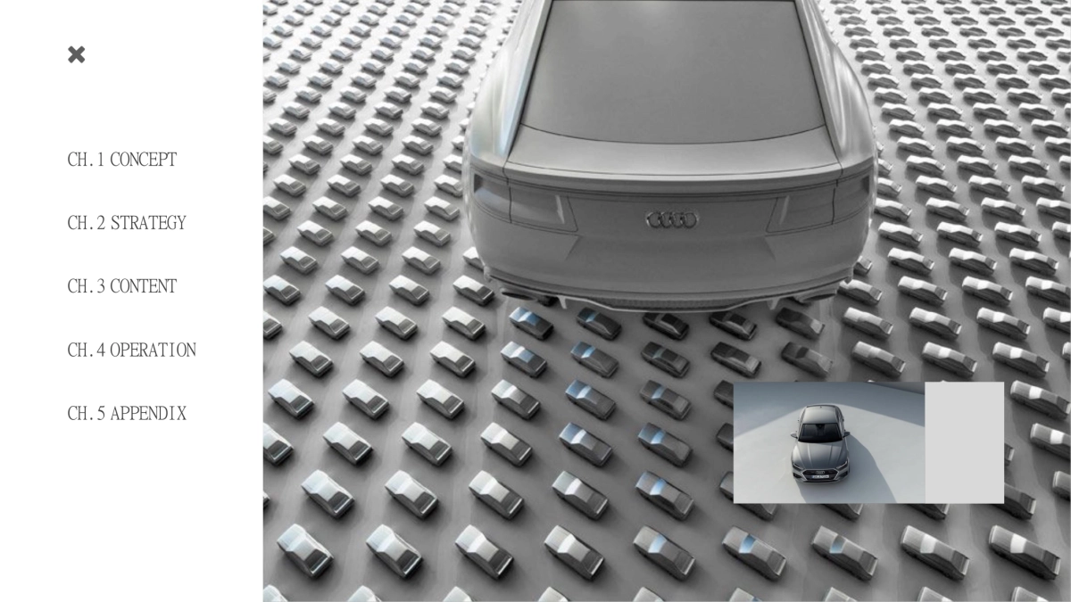 奥迪品牌高峰会议策划方案_第2页