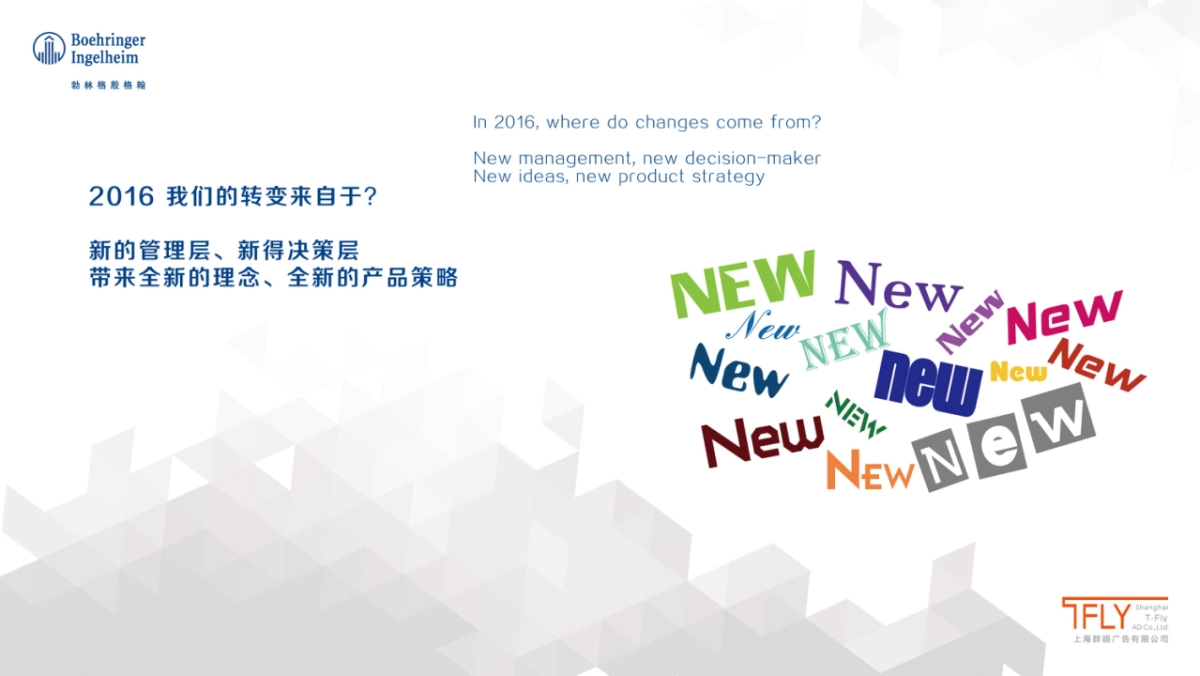 勃林格晚宴方案_第10页