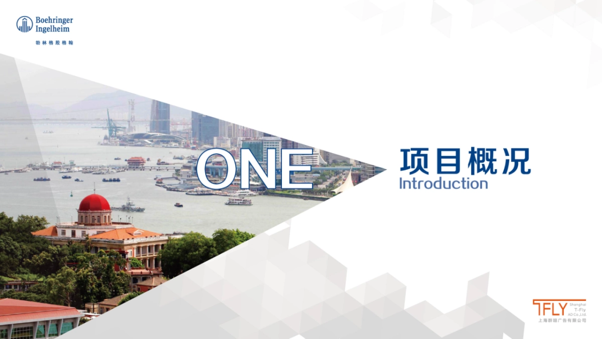 勃林格晚宴方案_第5页