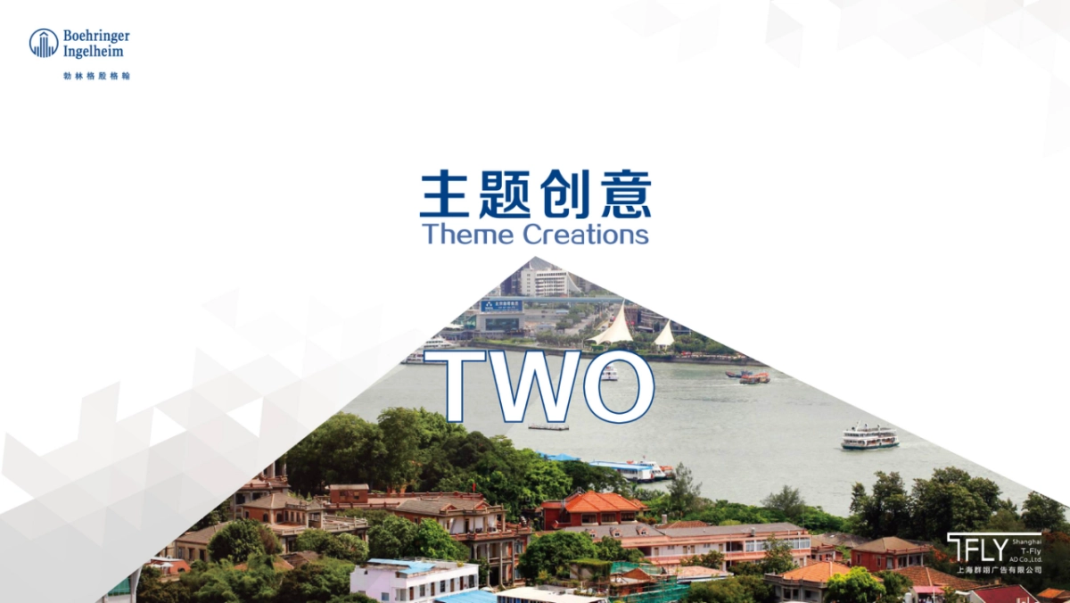 勃林格晚宴方案_第8页