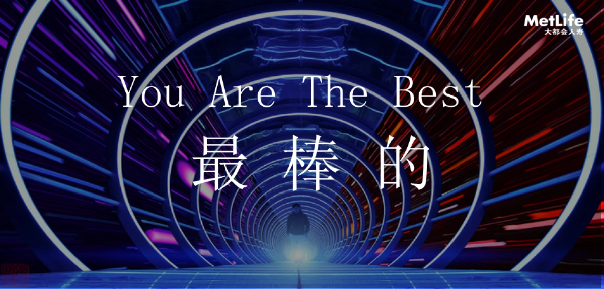 大都会保险高峰会概念方案_第10页