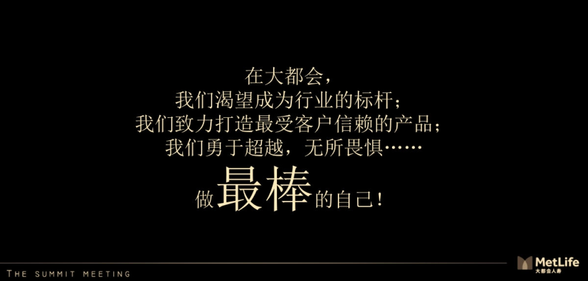 大都会保险高峰会概念方案_第4页