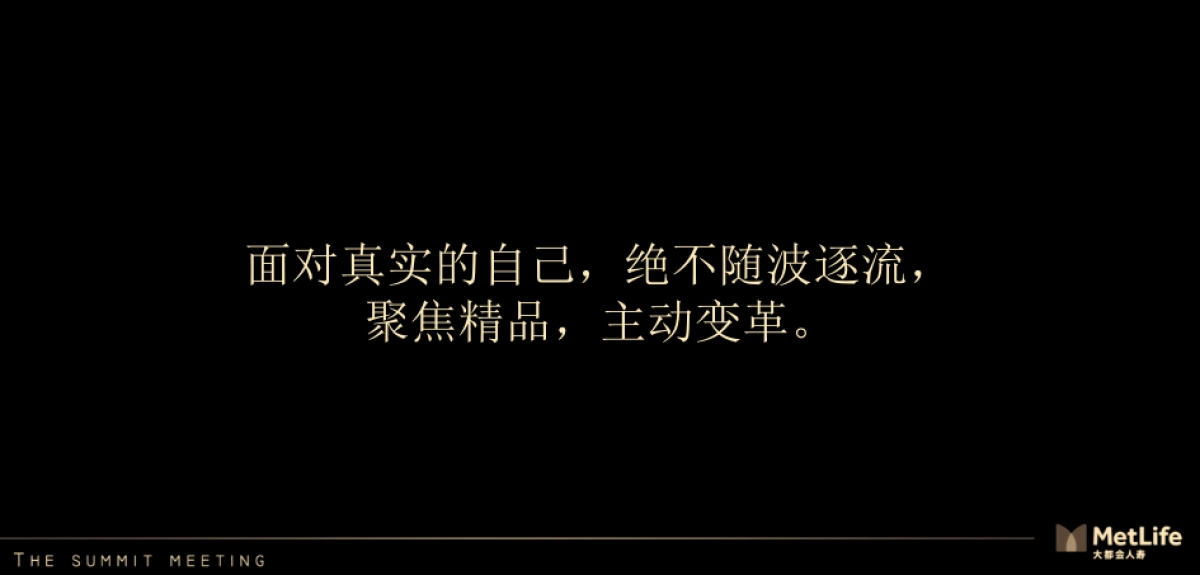 大都会保险高峰会概念方案_第8页
