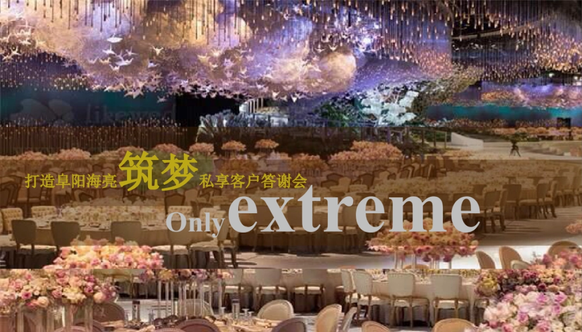 阜阳海亮年终业主答谢会方案_第7页