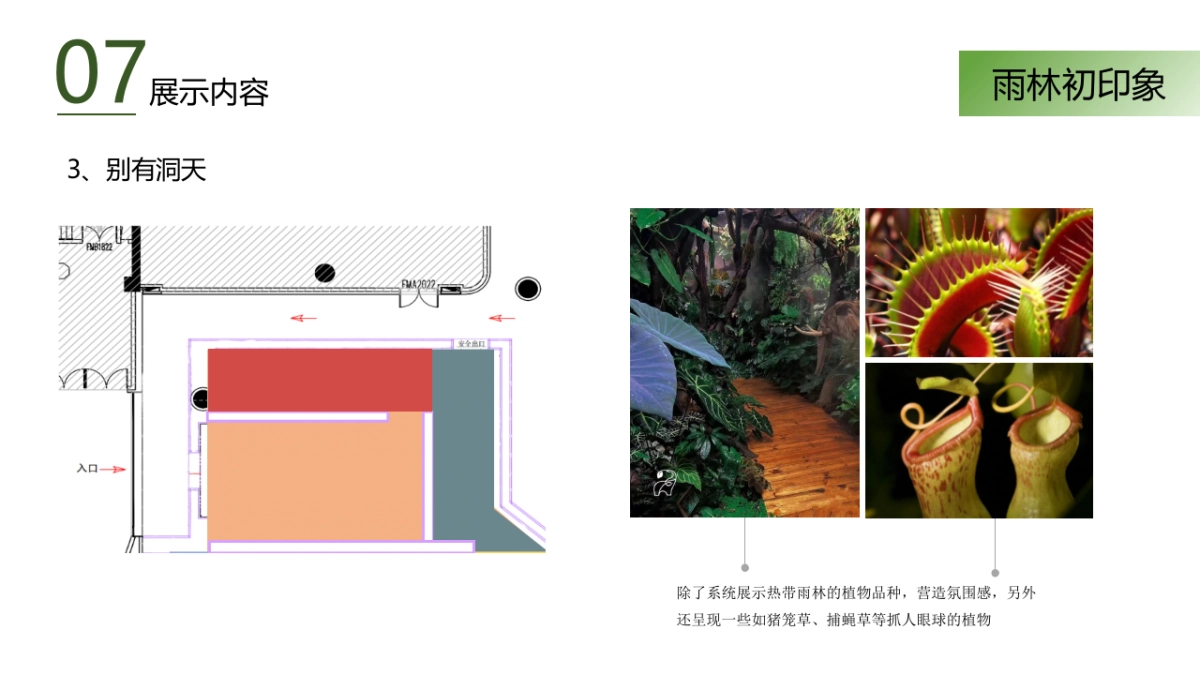 热带雨林展_第10页