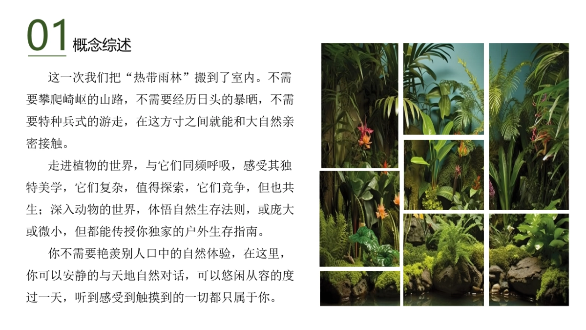 热带雨林展_第2页