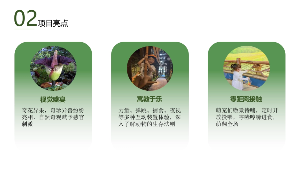 热带雨林展_第3页