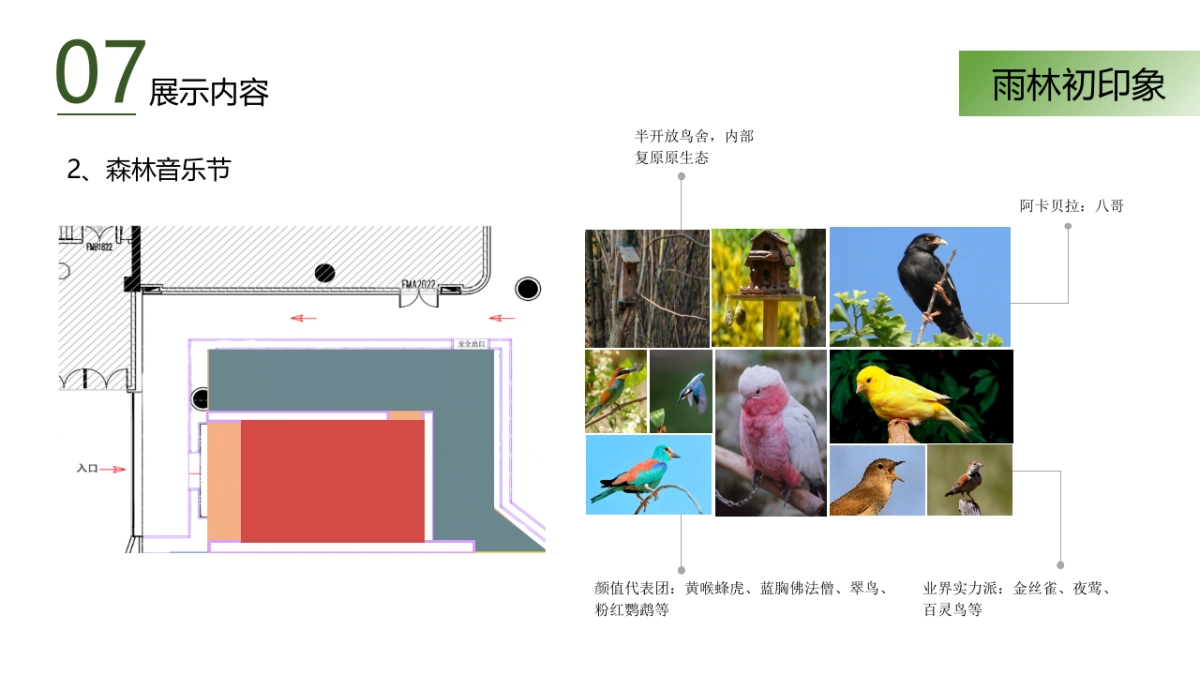 热带雨林展_第9页
