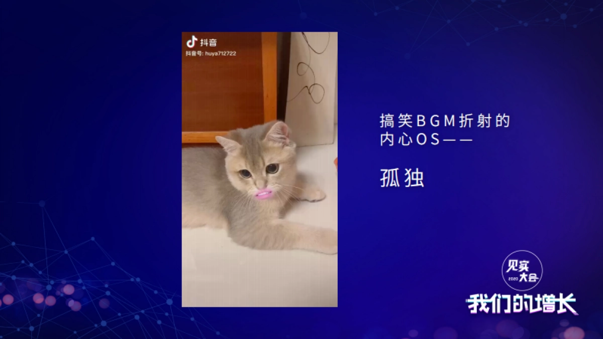 见实私享会-猫托托CEO乐倩_第3页