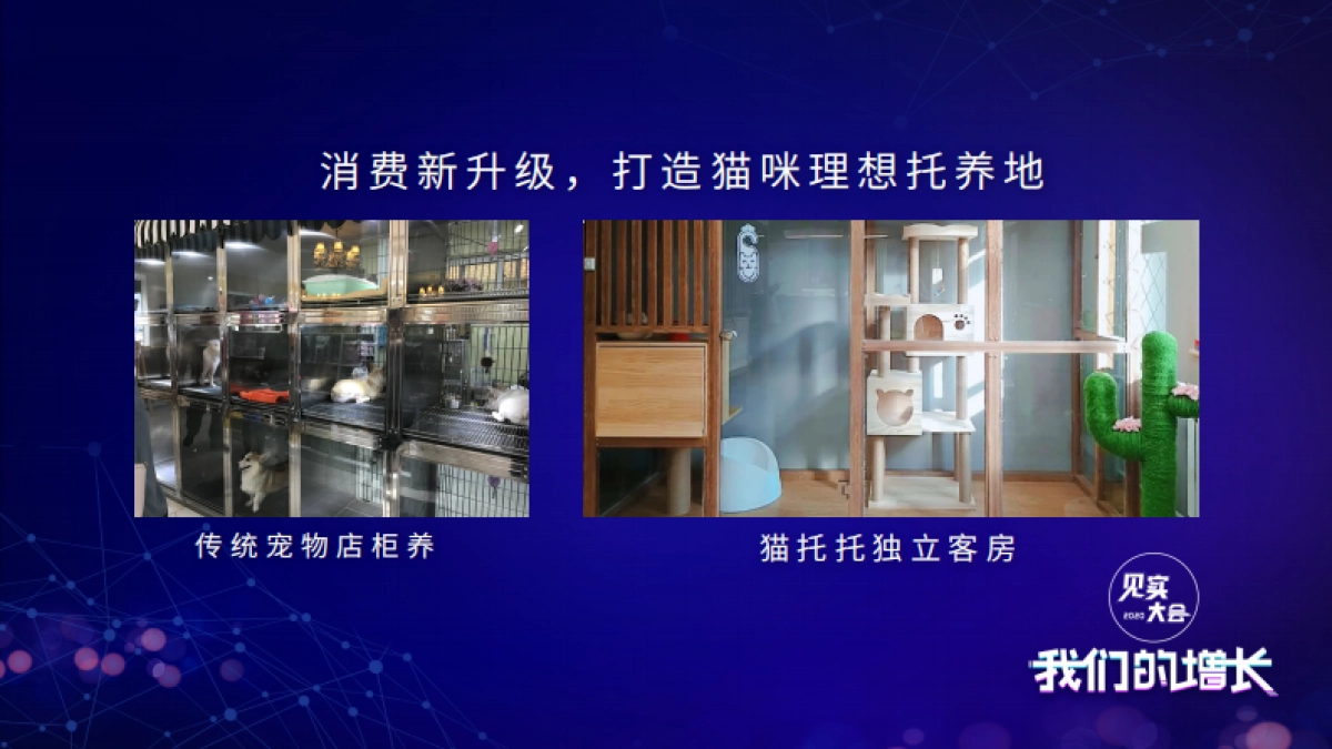 见实私享会-猫托托CEO乐倩_第8页