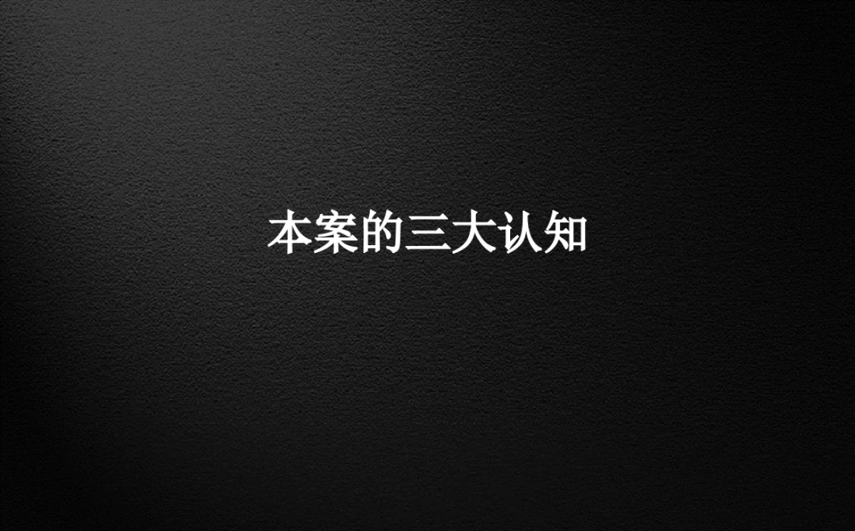 例外传播-广州万科城市之光整合推广提报_第3页