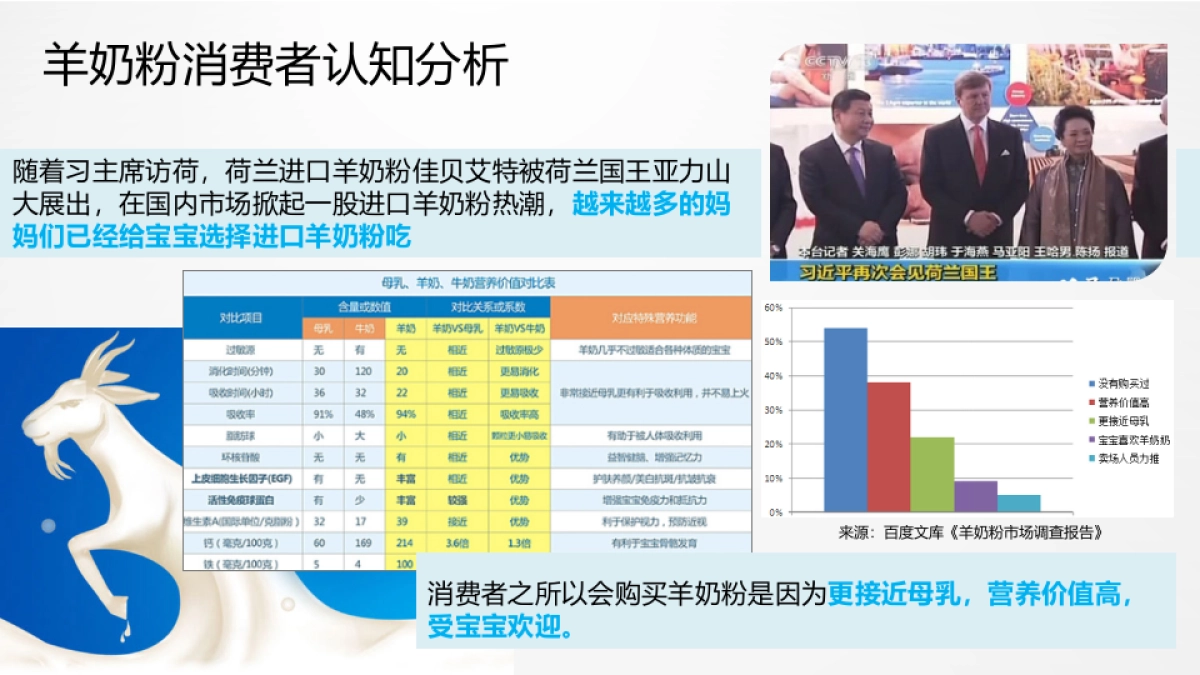 明一国际数字营销整合传播方案 _第10页