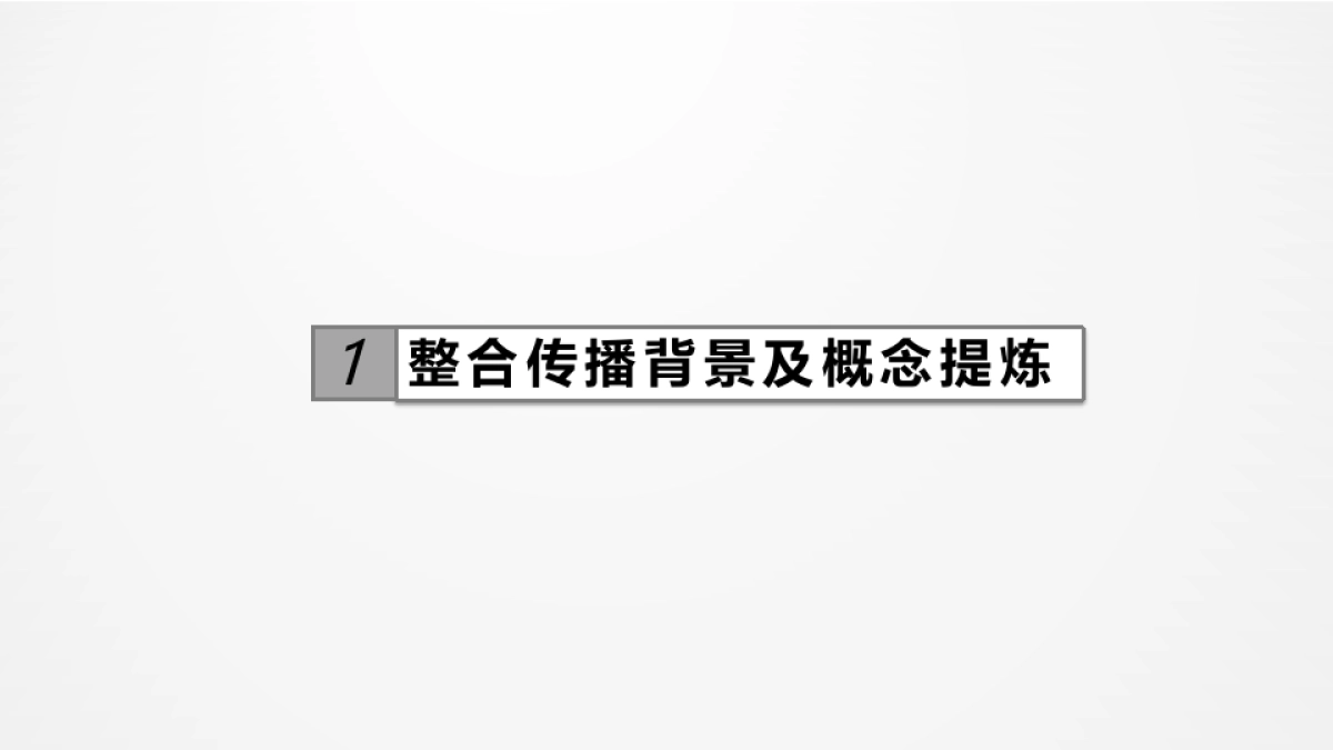 明一国际数字营销整合传播方案 _第3页