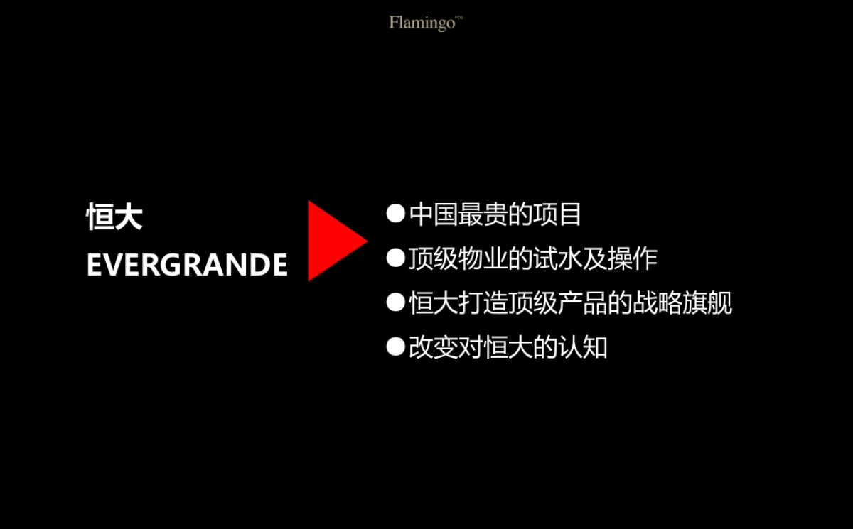 上海红鹤-上海恒大滨江华府整合传播案_第6页