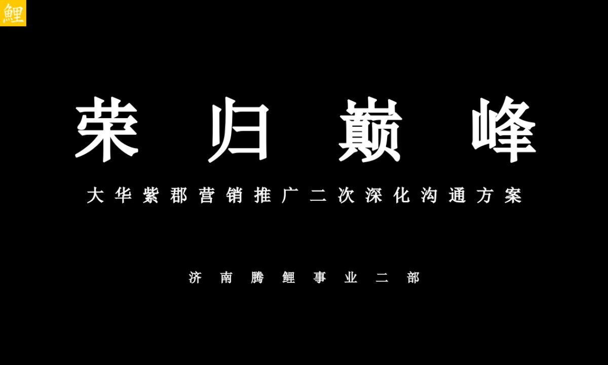 腾鲤传播-大华紫郡年整合推广方案最终版_第3页
