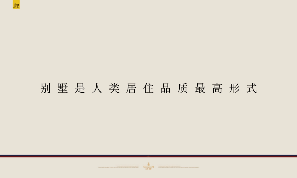 腾鲤传播-大华紫郡年整合推广方案最终版_第9页