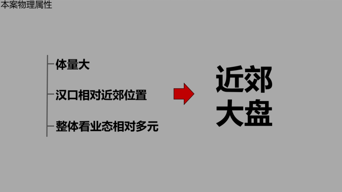 武汉华润（长丰村地块）项目整合传播策略全案_第5页