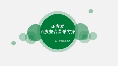 青麦百度整合营销方案
