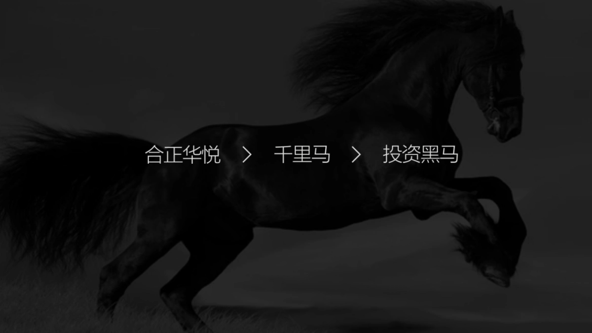 深圳道里-合正华悦投资黑马整合传播方案_第10页