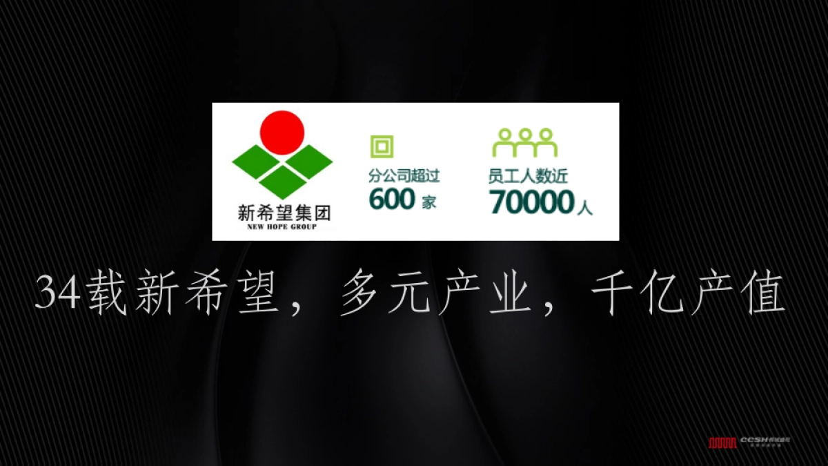 深圳长城盛花-成都新希望D项目整合推广创意案_第3页