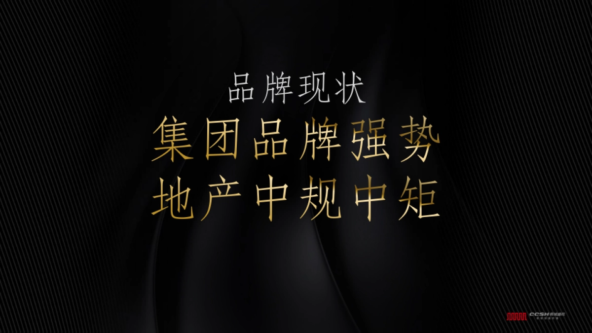 深圳长城盛花-成都新希望D项目整合推广创意案_第4页