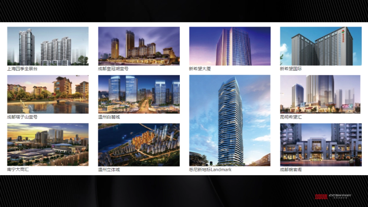 深圳长城盛花-成都新希望D项目整合推广创意案_第5页