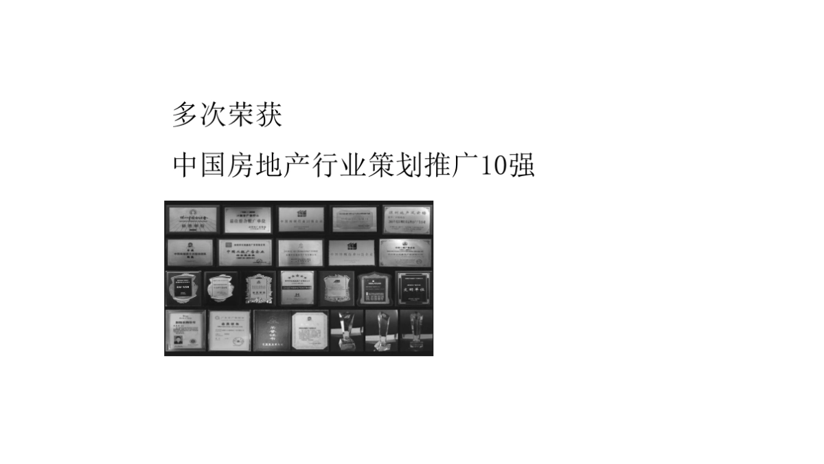 深圳长城盛花-深圳中骏云景府整合推广策略_第7页