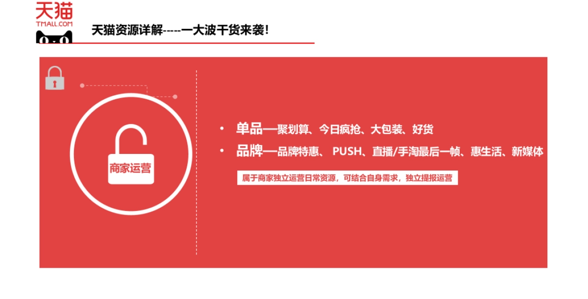 食用油整合营销方案_第6页