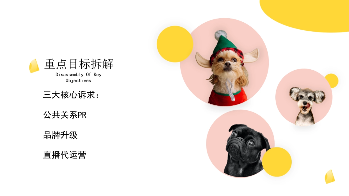 坦克小希品牌整合营销服务方案_第4页