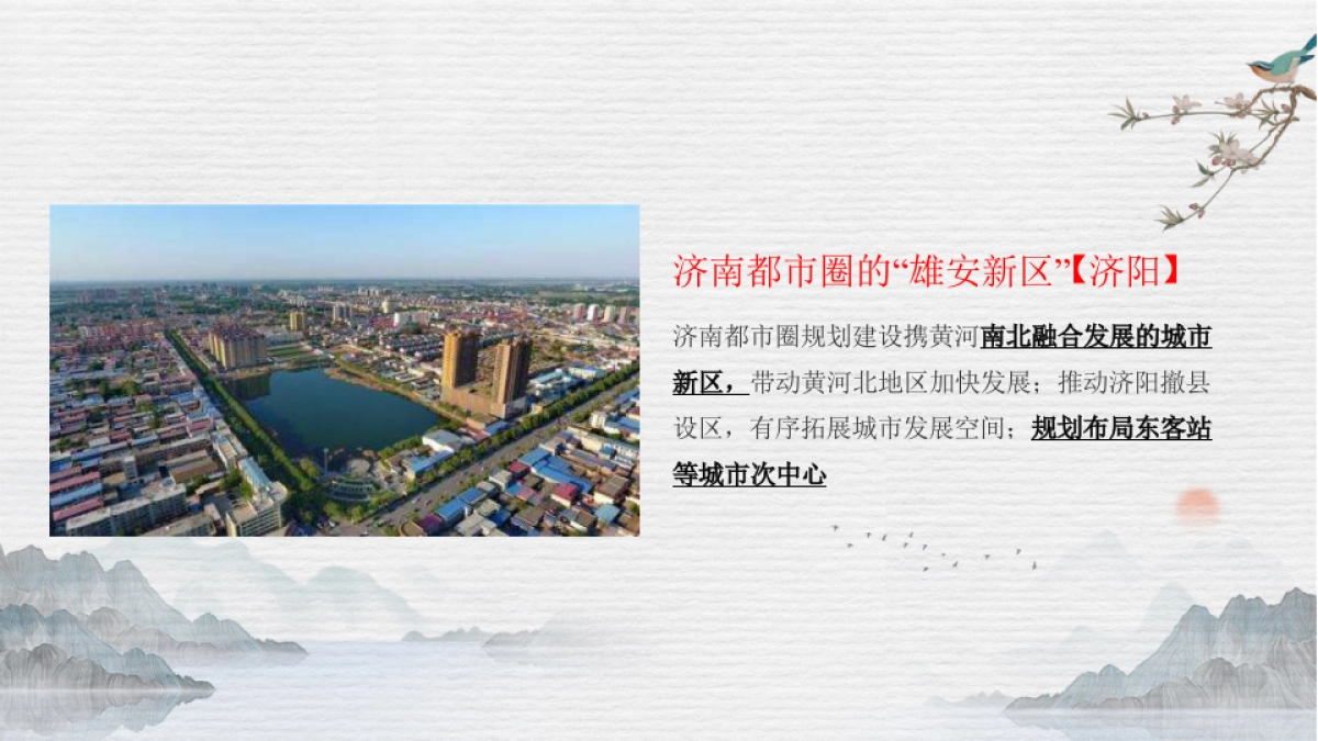 先觉中国-绿城·荷畔春风整合推广提报方案_第6页