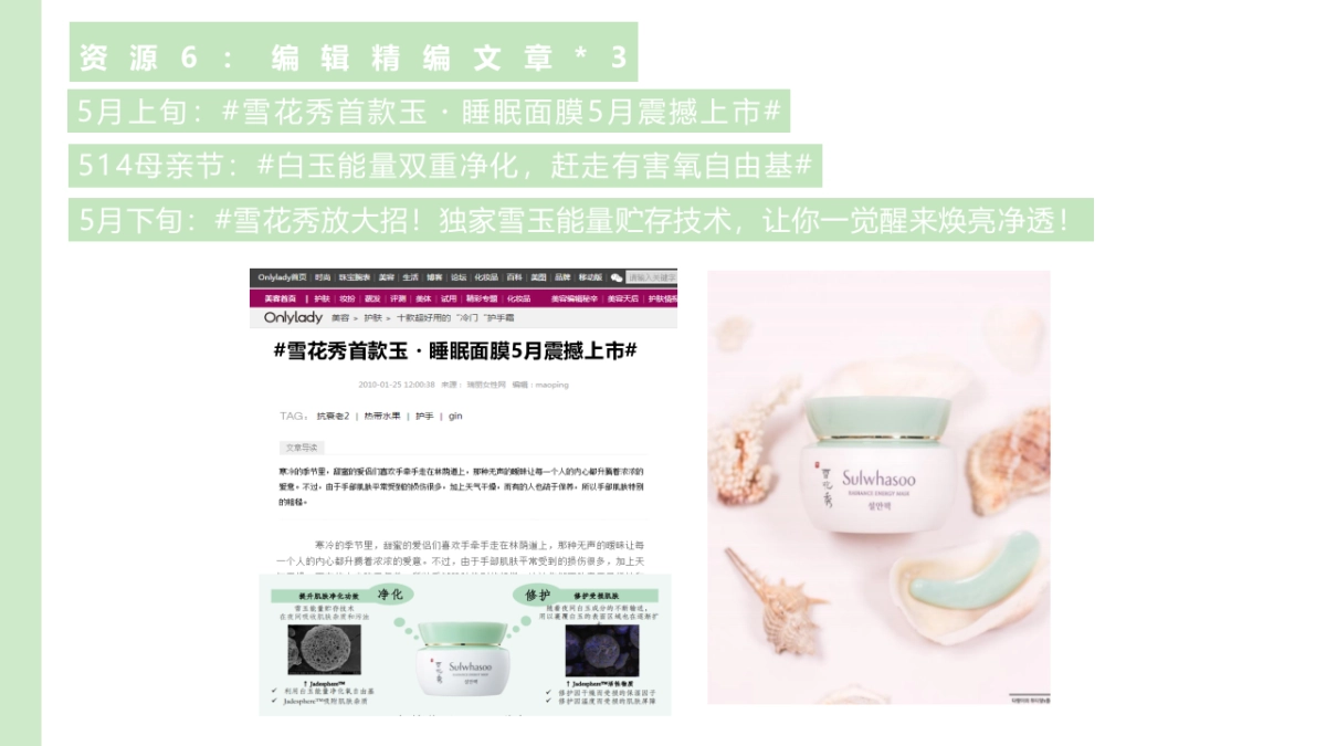 雪花秀凝脂玉面膜整合营销方案_第9页