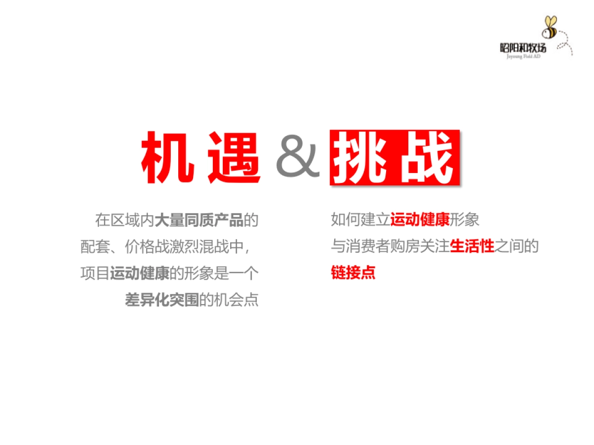昭阳和牧场-保利红 东莞寮步项目整合推广_第4页