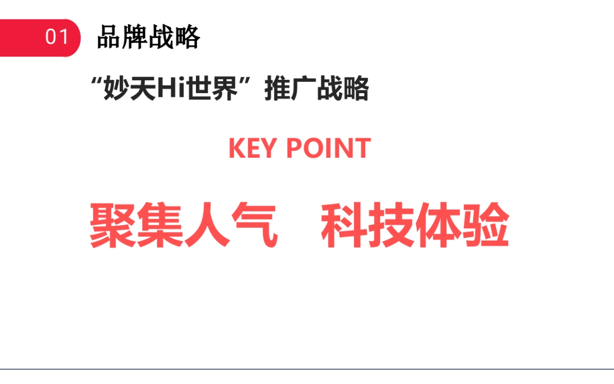 整合营销推广方案—妙天Hi世界_第10页
