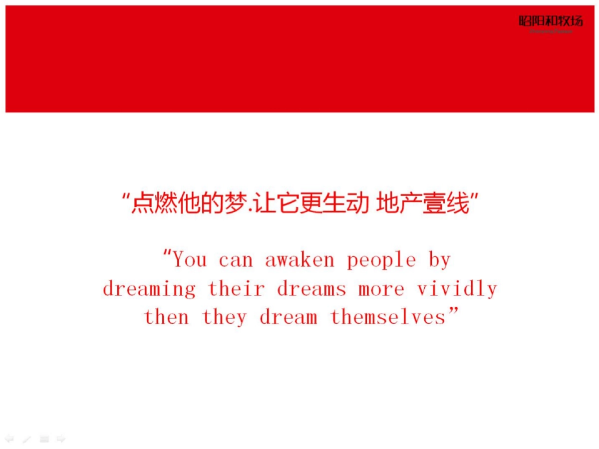 广州昭阳和牧场-保利东莞寮步项目整合推广案_第2页