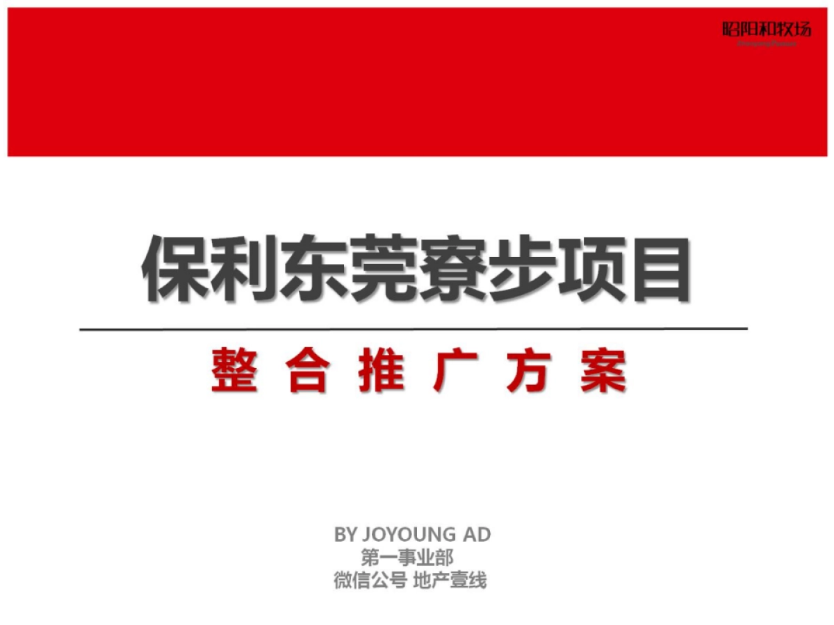广州昭阳和牧场-保利东莞寮步项目整合推广案_第3页
