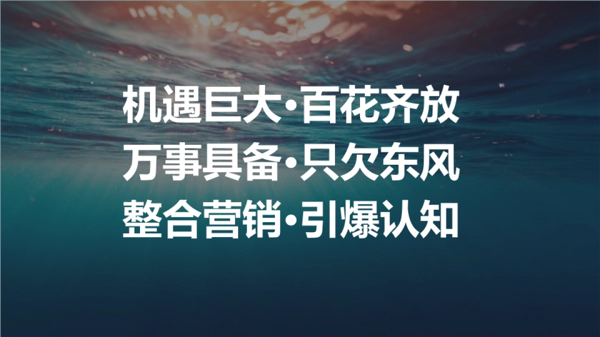 迈迪I3整合营销推广方案_第10页