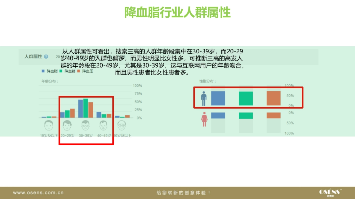 欧赛斯维妥立数字全案整合营销策略_第10页