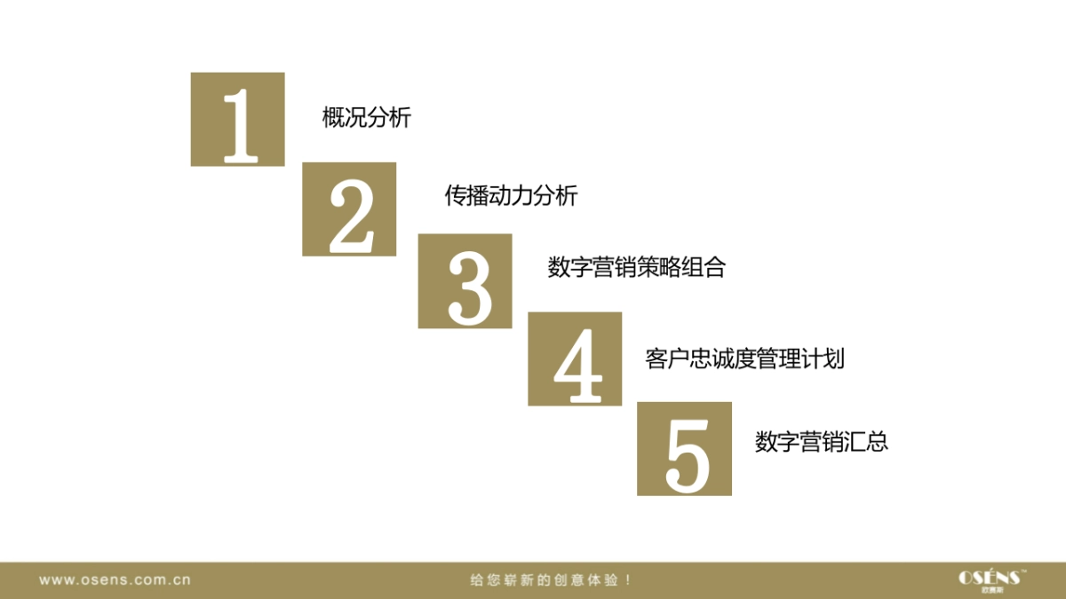 欧赛斯维妥立数字全案整合营销策略_第2页