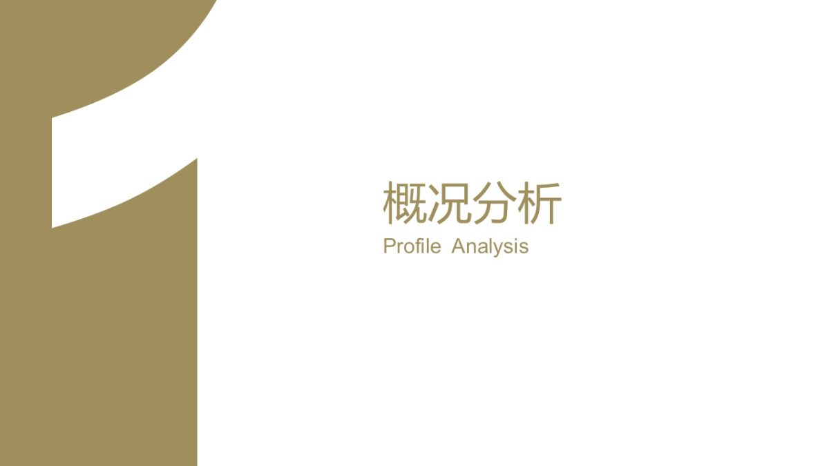 欧赛斯维妥立数字全案整合营销策略_第3页