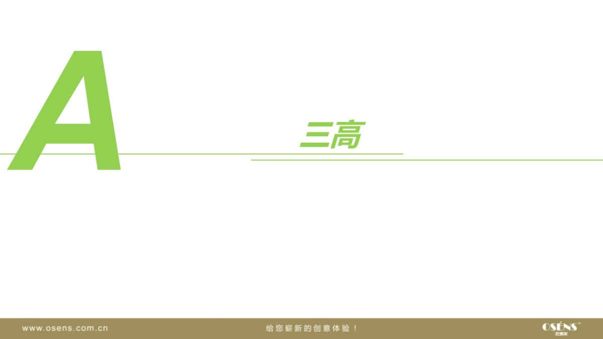 欧赛斯维妥立数字全案整合营销策略_第4页