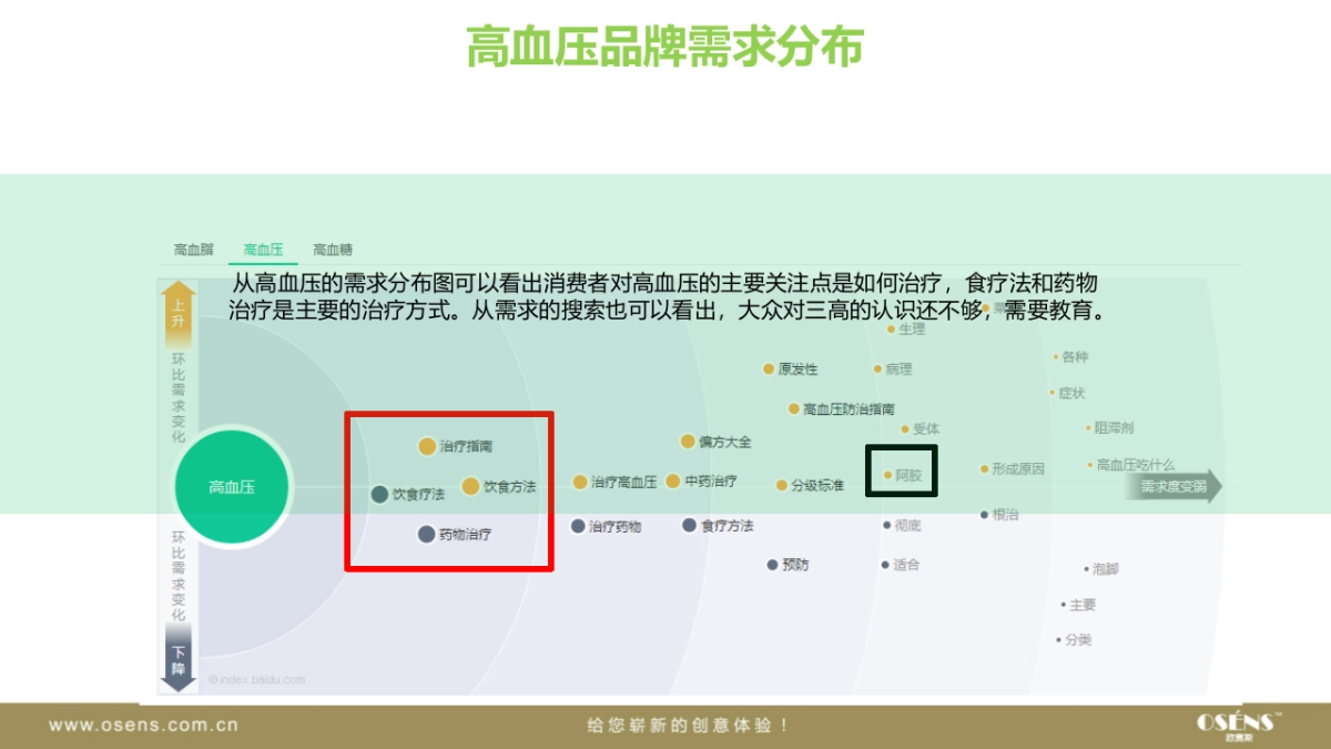 欧赛斯维妥立数字全案整合营销策略_第6页