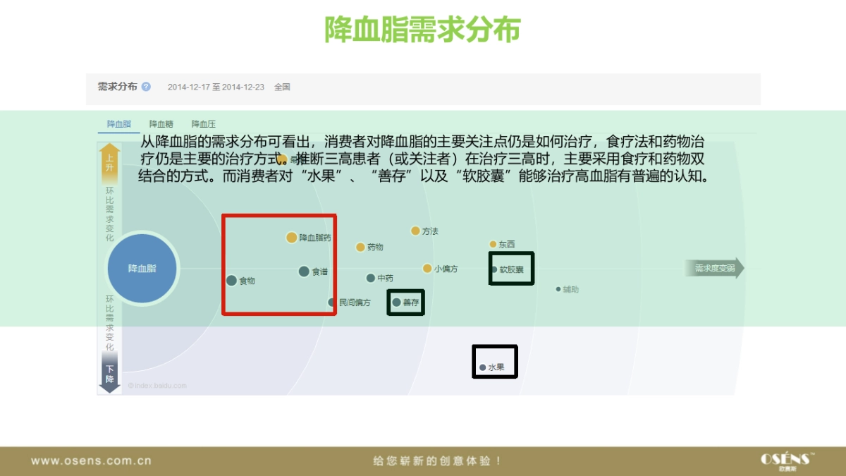 欧赛斯维妥立数字全案整合营销策略_第8页