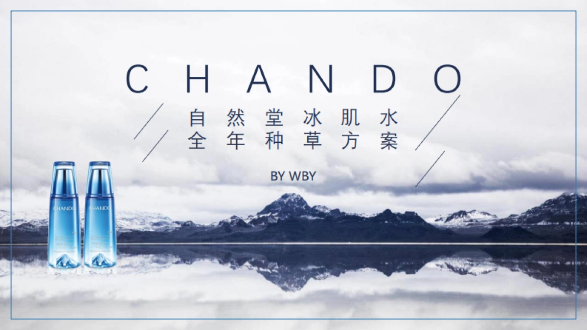 自然堂冰肌水全年种草方案_第1页