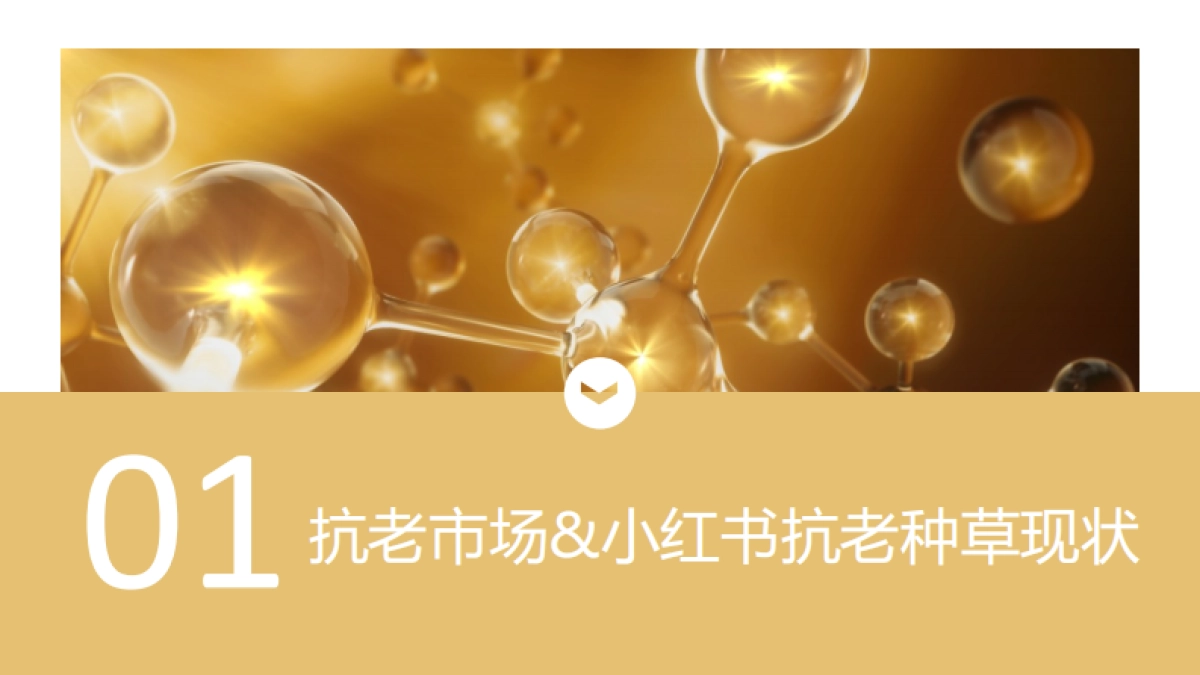 2021 相宜本草双十一种草方案_第4页