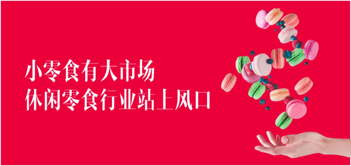 2021年怡达品牌焕新升级战略规划_第2页